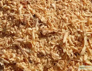 Зображення для оголошення Куплю срочно опилки оптом
