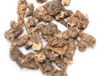 Зображення для оголошення Купим от населения корень калгана
