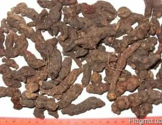 Зображення для оголошення Закупаем корень калгана сухой.Оплата наличными