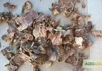 Зображення для оголошення Купить родиолу розовую