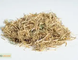 Зображення для оголошення Продам корни пырея