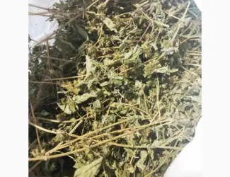 Зображення для оголошення Продам суху мелісу лимонну