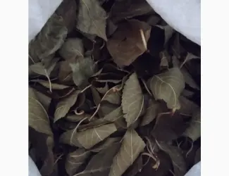 Зображення для оголошення Продам лист вишні