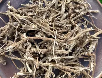 Зображення для оголошення Кропива корінь