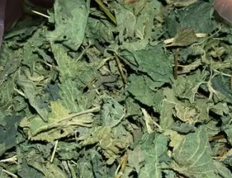 Зображення для оголошення Куплю кропиву листя сушене