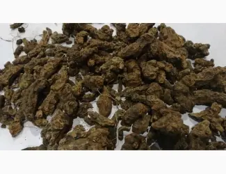 Зображення для оголошення Закупаем корень калгана
