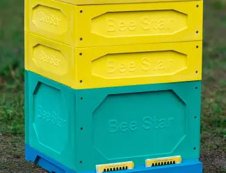 Вулик ППУ «BeeStar» (1 корпус Дадан + 2 магазини
