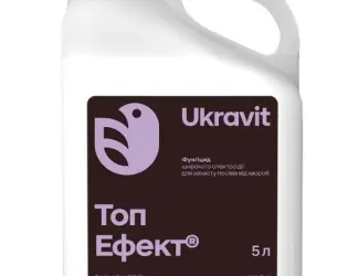 Зображення для оголошення Фунгіцид Топ Ефект 5л