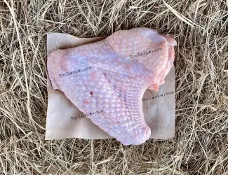 Крило індички