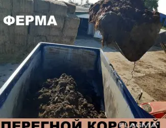Зображення для оголошення Коровий Перегной. Навоз коровий. Компост.