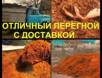 Зображення для оголошення Навоз коровий. Удобрение.