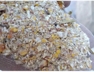 Реалізую відходи, побічний продукт кукурудзи
