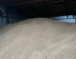 Зображення для оголошення Продам фуражну пшеницю