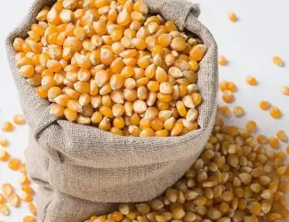 Зображення для оголошення Продам фуражне зерно кукурудзи та пшениці