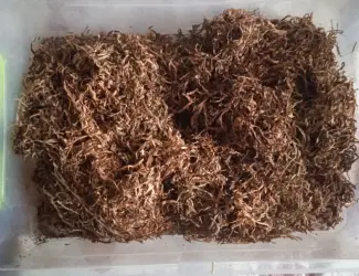 Зображення для оголошення Продам