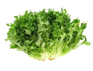 Салат Фризе (1 кг)