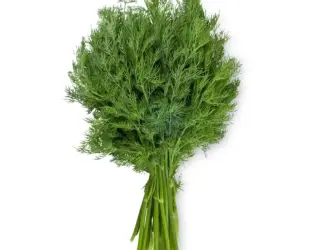 Домашній кріп(уркоп)