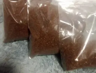Продам насіння тютюну