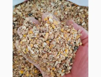 Зображення для оголошення Зерноотходы кукурузы