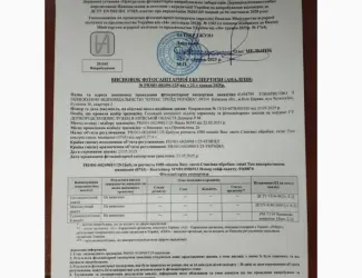 Зображення для оголошення Продаж цибулі перо