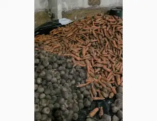 Продам буряк