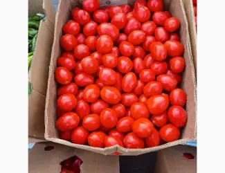 Продам томати