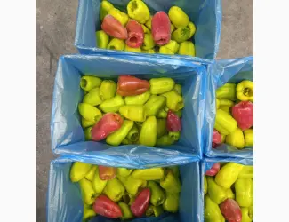 Зображення для оголошення Перець тріо Здоровий Продукт цілий свіжоморожений