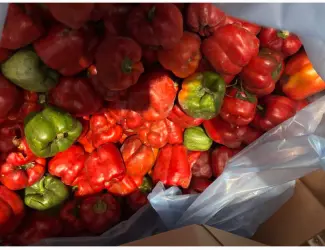Продам перець заморожений цілий