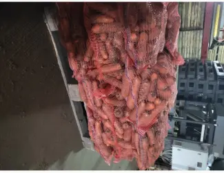 Зображення для оголошення Продам моркву