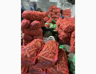 Зображення для оголошення Продам морковь от поставщика с 10 тонн