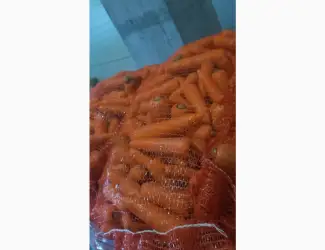 Морква 2 сорт