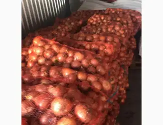 Зображення для оголошення Продам лук от фермера. С 20 тонн. Цена договорная