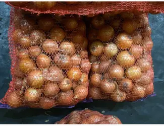 Продам. Цибулю медуза