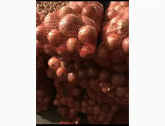 Зображення для оголошення Продам цибуля сорт штутгарт