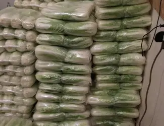 Зображення для оголошення Куплю пекінську капусти від 20 тон по всій Україні