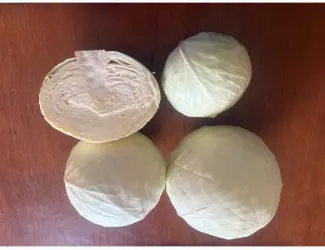Продам капусту