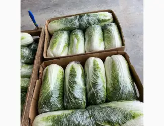 Продам Пекінську капусту