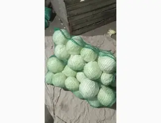 Продам Капусту