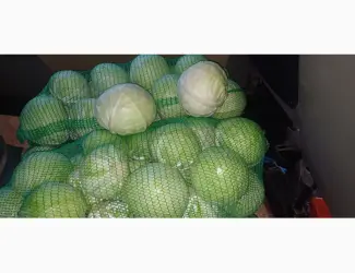 Продам капусту "Бригадир"
