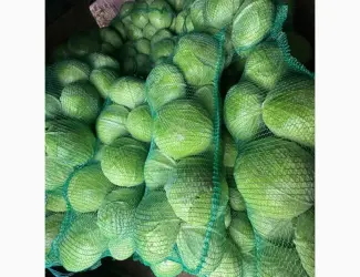 Продам капусту