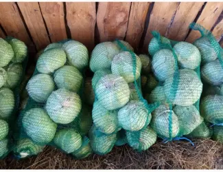 Зображення для оголошення Продам капусту