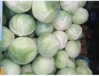 Продам капусту сорт центурион
