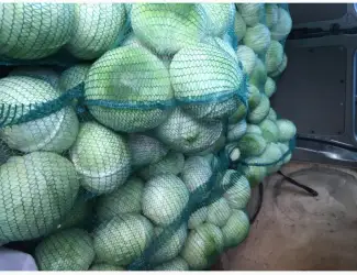 Продам капусту гібрид Агресор