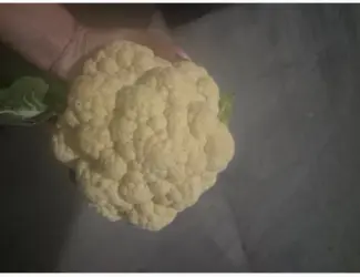 Продам капусту цветную