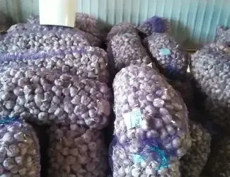 Зображення для оголошення Продам часник 3/5/10/20 тон