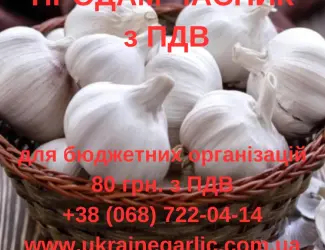 Зображення для оголошення Продам часник з ПДВ для бюджетний організацій