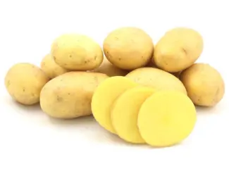 Продаж насінневої картоплі сорту Коломбо. Перша репродукція. Роздріб від 20 кг