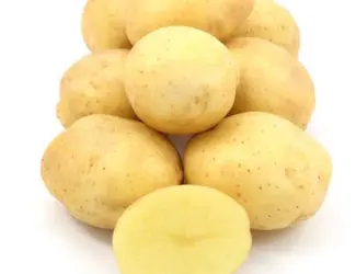 Продаж насінневої картоплю сорту Саншайн. Перша репродукція. Роздріб від 20 кг