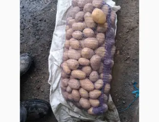 Продам Картоплю Бела росса