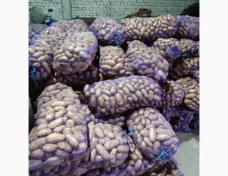 Зображення для оголошення Продам картоплю